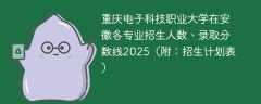 重庆电子科技职业大学在安徽各专业招生人数、录取分数线2025（附：招生计划表）