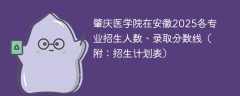 肇庆医学院在安徽2025各专业招生人数、录取分数线（附：招生计划表）