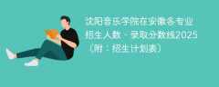 沈阳音乐学院在安徽各专业招生人数、录取分数线2025（附：招生计划表）