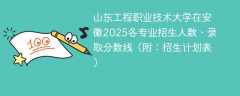山东工程职业技术大学在安徽2025各专业招生人数、录取分数线（附：招生计划表）