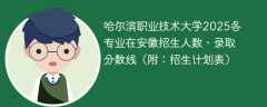 哈尔滨职业技术大学2025各专业在安徽招生人数、录取分数线（附：招生计划表）