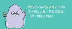 武昌首义学院在安徽2025各专业招生人数、录取分数线（附：招生计划表）