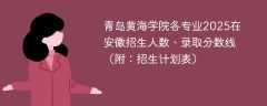 青岛黄海学院各专业2025在安徽招生人数、录取分数线（附：招生计划表）