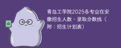 青岛工学院2025各专业在安徽招生人数、录取分数线（附：招生计划表）