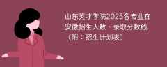 山东英才学院2025各专业在安徽招生人数、录取分数线（附：招生计划表）