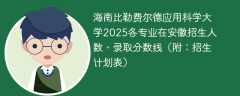 海南比勒费尔德应用科学大学2025各专业在安徽招生人数、录取分数线（附：招生计划表）