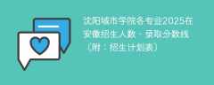 沈阳城市学院各专业2025在安徽招生人数、录取分数线（附：招生计划表）