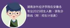 湖南涉外经济学院在安徽各专业2025招生人数、录取分数线（附：招生计划表）