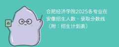 合肥经济学院2025各专业在安徽招生人数、录取分数线（附：招生计划表）