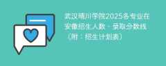 武汉晴川学院2025各专业在安徽招生人数、录取分数线（附：招生计划表）