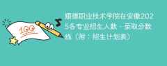 顺德职业技术学院在安徽2025各专业招生人数、录取分数线（附：招生计划表）