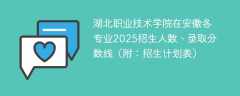 湖北职业技术学院在安徽各专业2025招生人数、录取分数线（附：招生计划表）