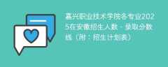 嘉兴职业技术学院各专业2025在安徽招生人数、录取分数线（附：招生计划表）