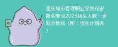 重庆城市管理职业学院在安徽各专业2025招生人数、录取分数线（附：招生计划表）