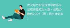 武汉电力职业技术学院各专业在安徽招生人数、录取分数线2025（附：招生计划表）