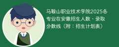 马鞍山职业技术学院2025各专业在安徽招生人数、录取分数线（附：招生计划表）