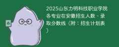 2025山东力明科技职业学院各专业在安徽招生人数、录取分数线（附：招生计划表）
