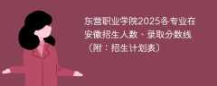 东营职业学院2025各专业在安徽招生人数、录取分数线（附：招生计划表）