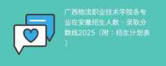广西物流职业技术学院各专业在安徽招生人数、录取分数线2025（附：招生计划表）