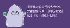 重庆旅游职业学院各专业在安徽招生人数、录取分数线2025（附：招生计划表）