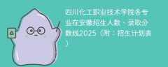 四川化工职业技术学院各专业在安徽招生人数、录取分数线2025（附：招生计划表）