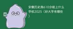 安徽历史类610分能上什么学校2025（好大学有哪些）