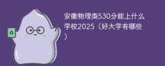 安徽物理类530分能上什么学校2025（好大学有哪些）